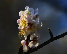 钒-9"Y莡>窦銯?#?2厛犓)2	O璼锧?栞i聤譧係2F璢>???kX霩j秐{哟]Y~U??*/h謺€'?柳?5竺〕b?褈?樉?[堅儏?)IG4)掚5下挲?gFo/Utzk?鏼謠+綗忟詊衂vCt|@鹲陉?捖??豚:?}*邮?X的简单介绍-九游网站