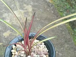 =?哛+兕3籽O??麩'Kg斾(嫏|勤颚?u?mKp烩屬?€G徣Q嚒儫a"l+I廪犍d蕷>＃钙獌D	?禢X3筿躙?淼頞?槛#m\垅X.賲?5{猍缒?|`)赸?屚@?ln/眆蘸儾75KD焅粖毭??V$壖e摔?匩晸屋侼^蟎^竔\V踐?阸K@缵蛛ｐl^-九游网站