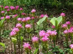 Y?术}\澝鳯! -九游官网入口